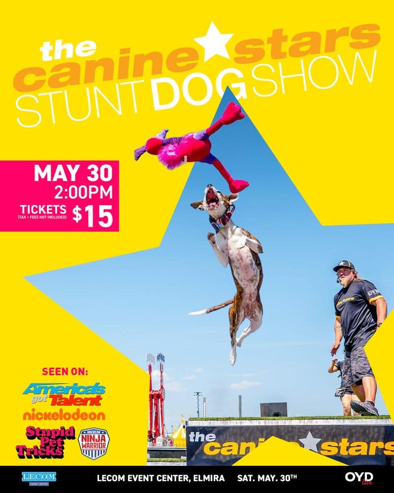The Canine Stars Stunt Dog Show