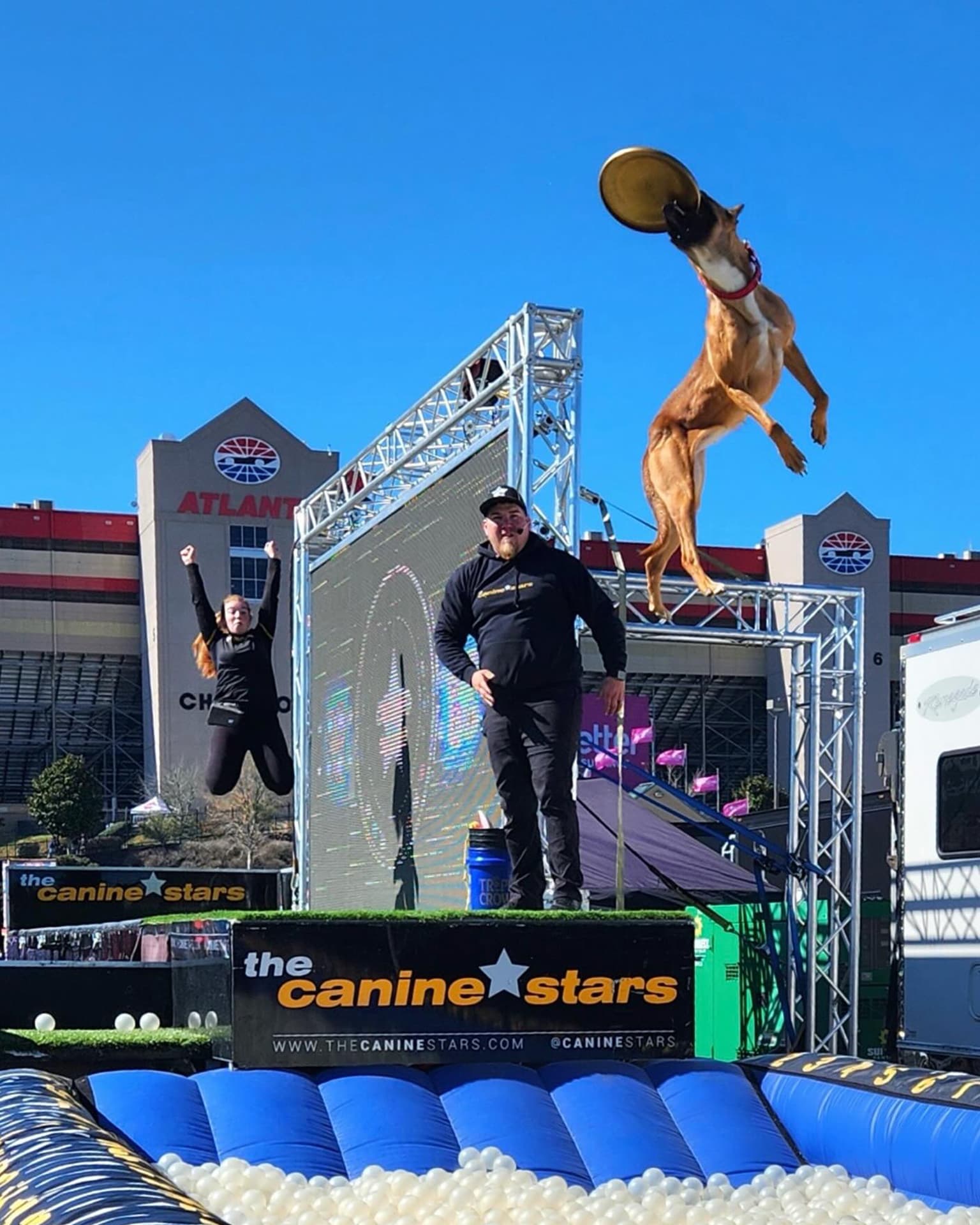 Canine Stars agility stunt