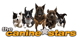 The Canine Stars