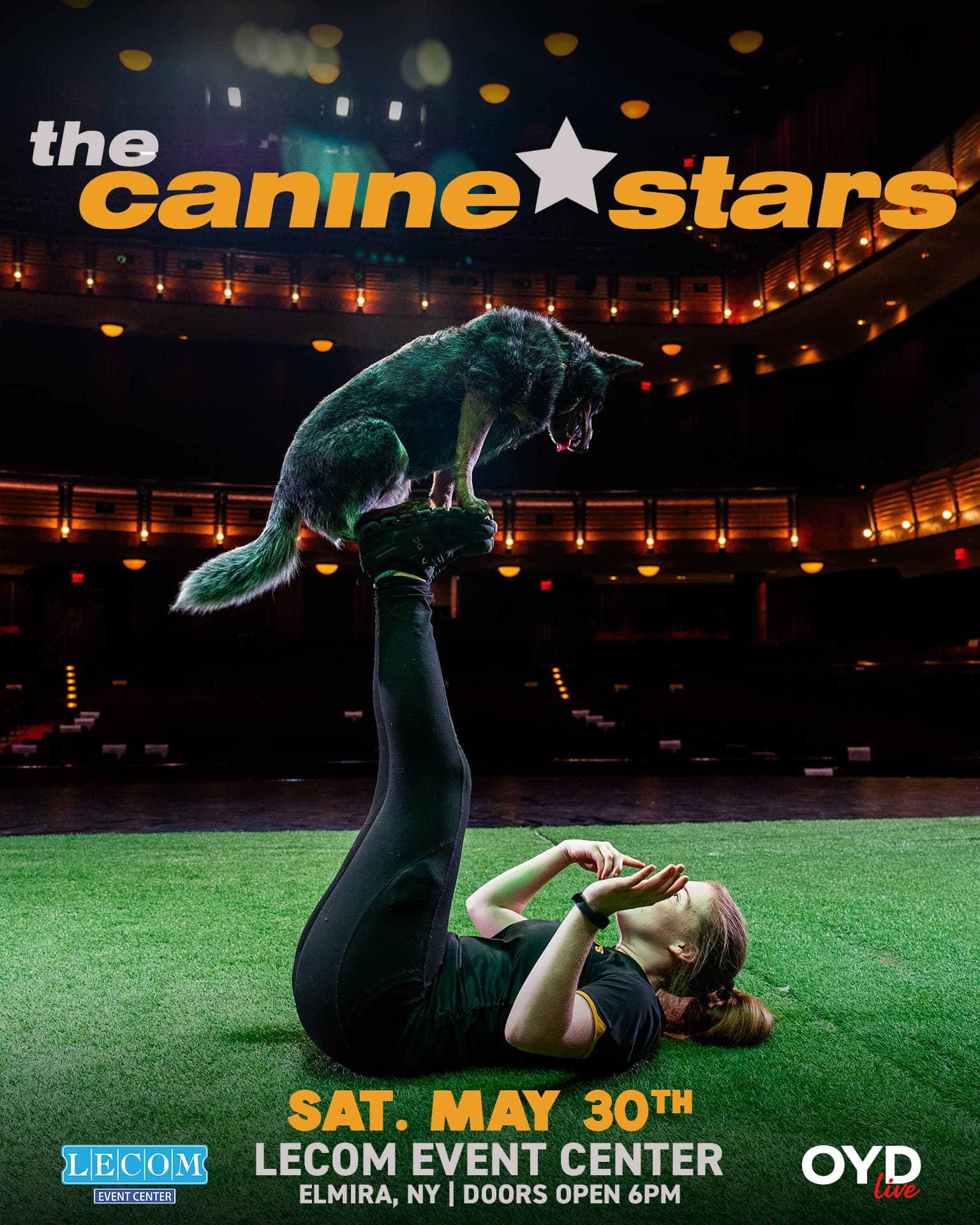 The Canine Stars Stunt Dog Show