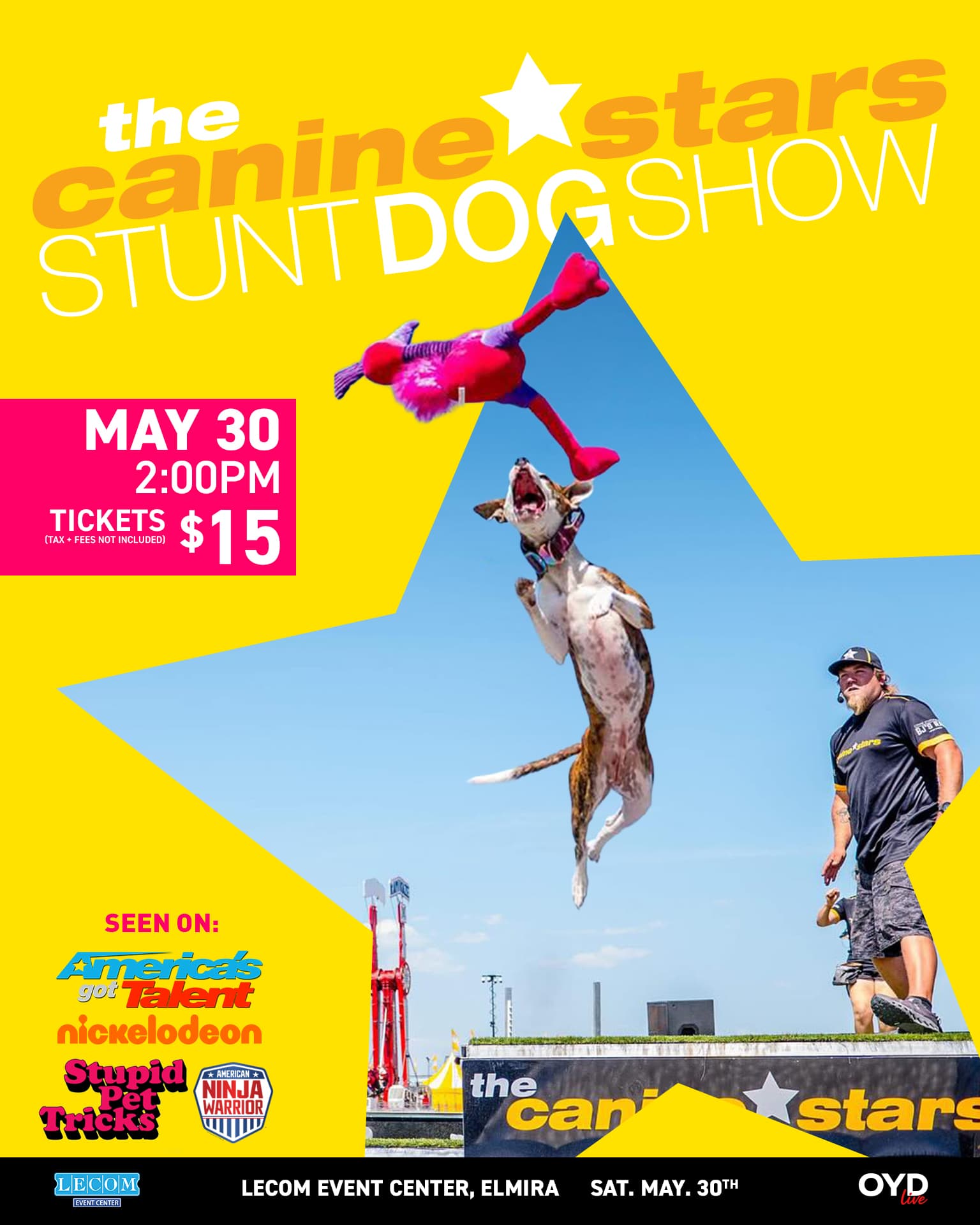 The Canine Stars Stunt Dog Show
