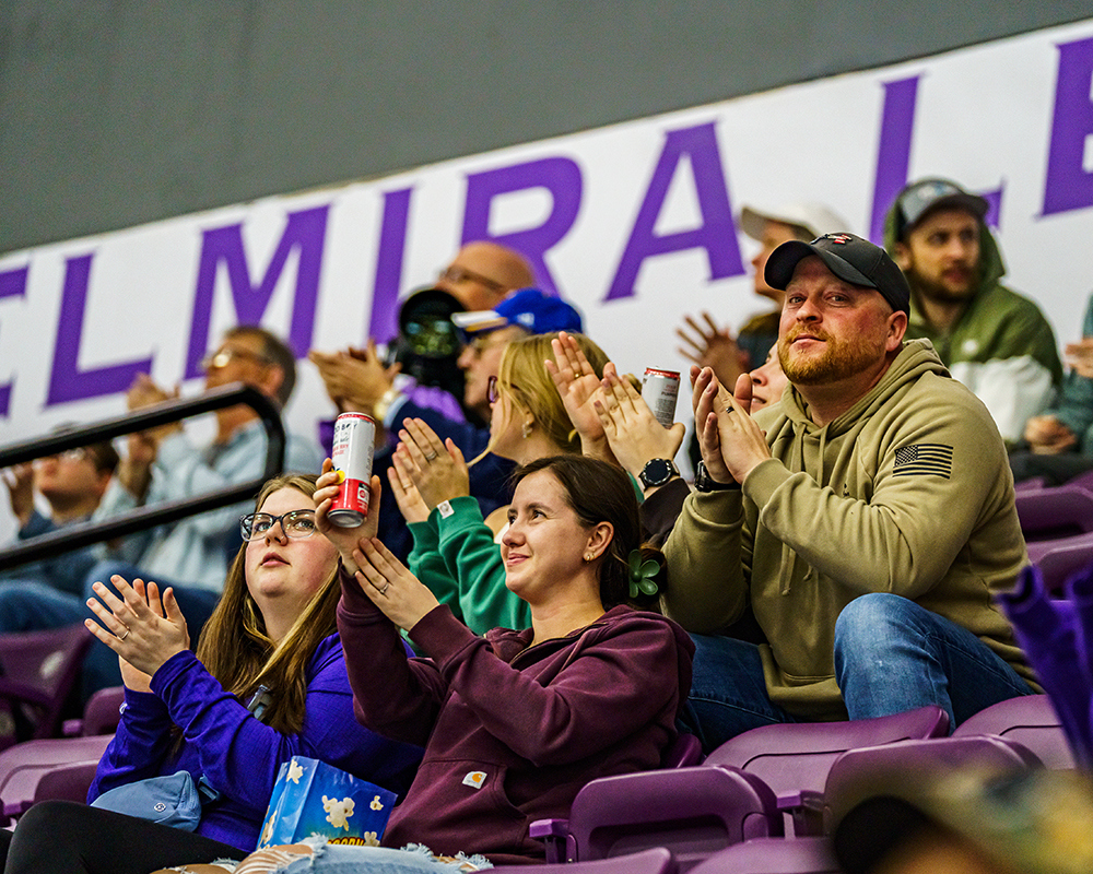 Elmira Aviators fans