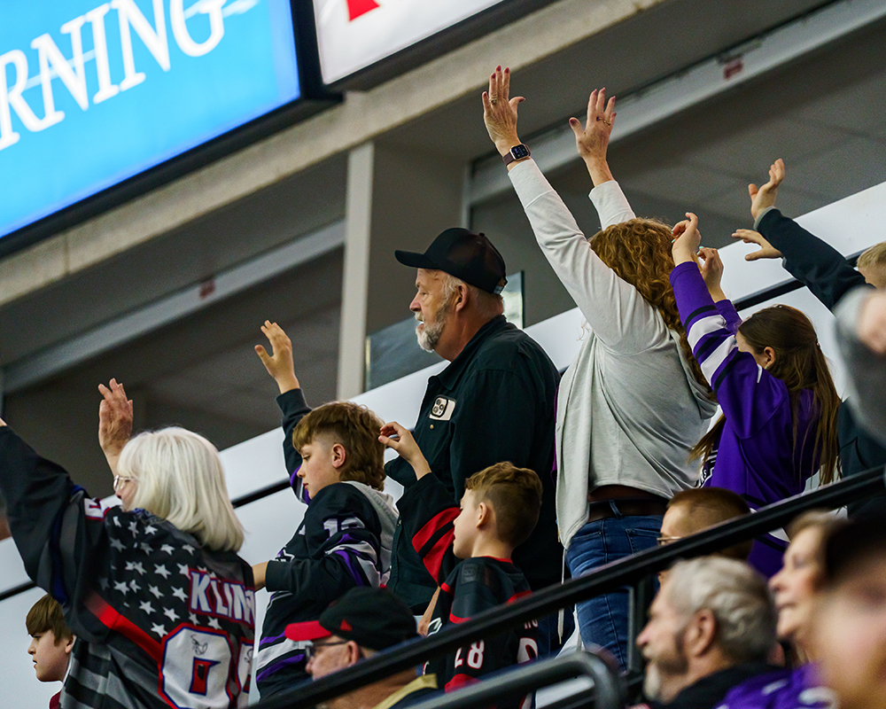 Elmira Aviators fans