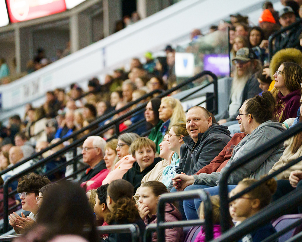 Elmira Aviators fans